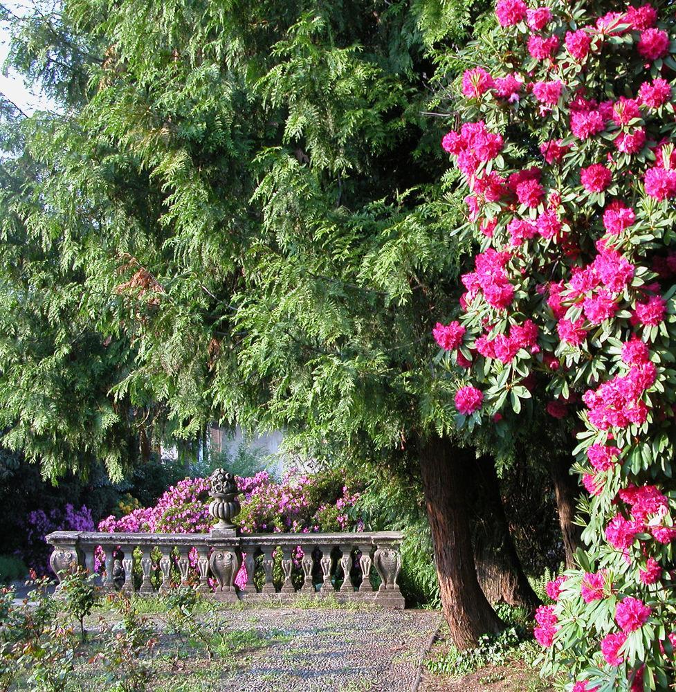 Du Parc Ξενοδοχείο Lake Maggiore Εξωτερικό φωτογραφία