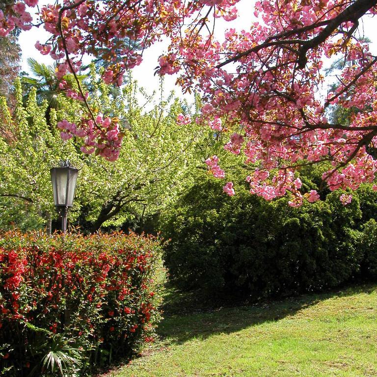 Du Parc Ξενοδοχείο Lake Maggiore Εξωτερικό φωτογραφία